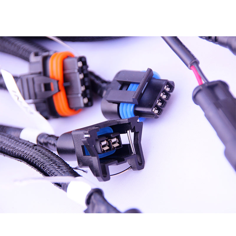 Customized LS Engine Wiring Harness