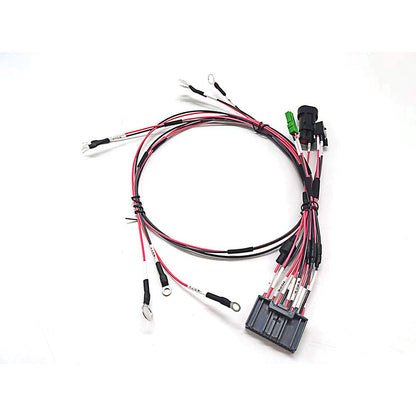 Molex34028sf1 Terminal Wire New Energy Collection Cable Assembly Lithium battery Main Control Wiring Harness