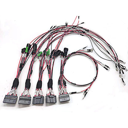 Molex34028sf1 Terminal Wire New Energy Collection Cable Assembly Lithium battery Main Control Wiring Harness