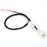 Customized TE 2-1719843-3 Automotive Wire Harness Plug for Blower and Cold Air Speed Controller