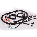 Customized LS Engine Wiring Harness