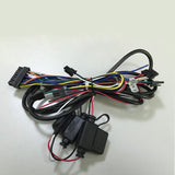 20pin Molex Wire And Cable Assembly with 5A Fuse